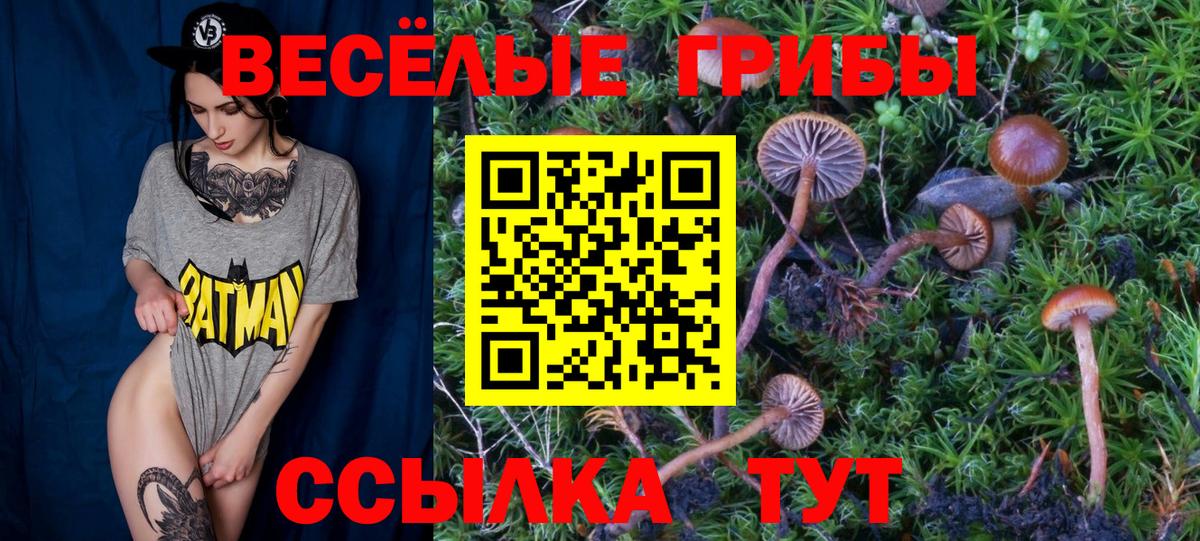 Псилоцибиновые грибы MAGIC MUSHROOMS  Псилоцибиновые грибы Psilocybine cubensis  Вход с VPN  Сарапул 
