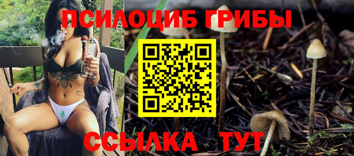 Галлюциногенные грибы Cubensis Сарапул